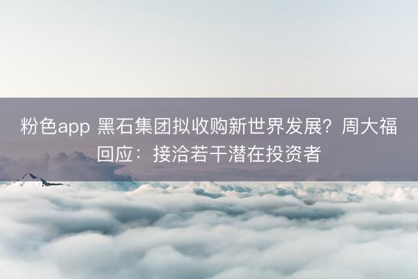 粉色app 黑石集团拟收购新世界发展？周大福回应：接洽若干潜在投资者