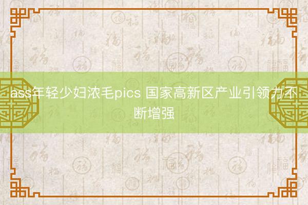 ass年轻少妇浓毛pics 国家高新区产业引领力不断增强