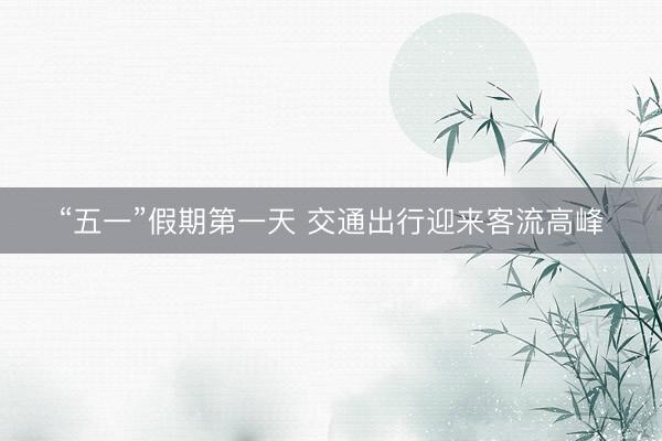 “五一”假期第一天 交通出行迎来客流高峰