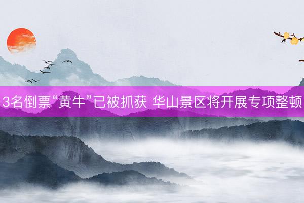 3名倒票“黄牛”已被抓获 华山景区将开展专项整顿
