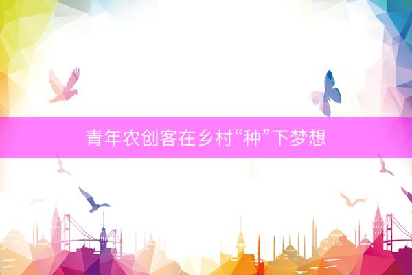 青年农创客在乡村“种”下梦想