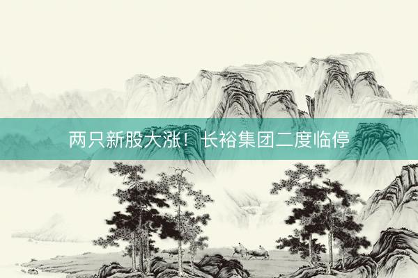 两只新股大涨！长裕集团二度临停