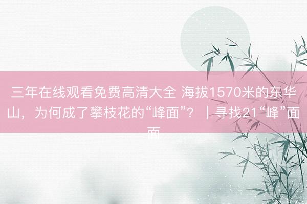 三年在线观看免费高清大全 海拔1570米的东华山，为何成了攀枝花的“峰面”？｜寻找21“峰”面