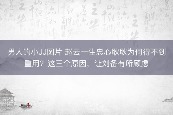 男人的小JJ图片 赵云一生忠心耿耿为何得不到重用？这三个原因，让刘备有所顾虑
