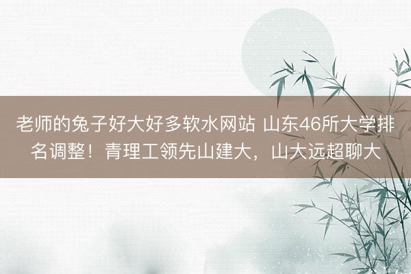 老师的兔子好大好多软水网站 山东46所大学排名调整！青理工领先山建大，山大远超聊大