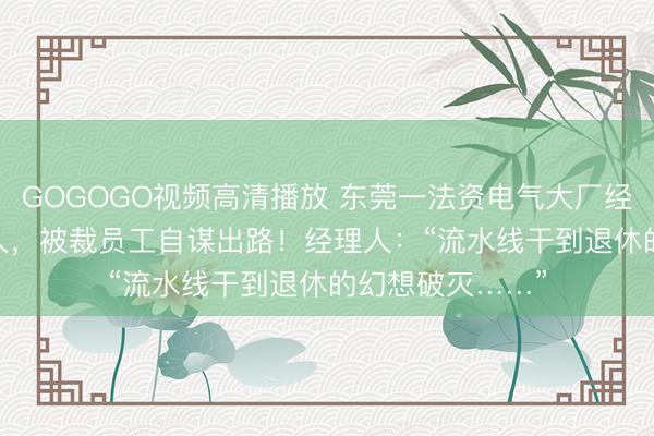 GOGOGO视频高清播放 东莞一法资电气大厂经济性裁员1000人,被裁员工自谋出路!经理人:“流水线干到退休的幻想破灭……”