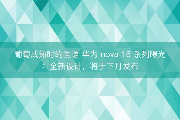 葡萄成熟时的国语 华为 nova 16 系列曝光：全新设计，将于下月发布