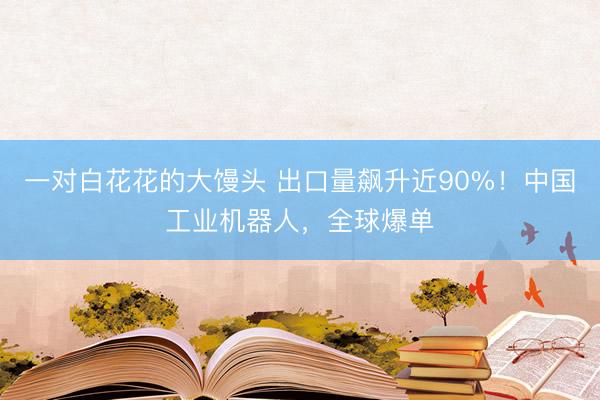 一对白花花的大馒头 出口量飙升近90%！中国工业机器人，全球爆单