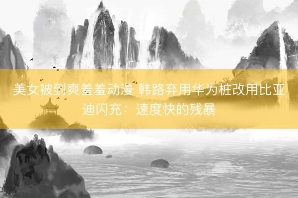 美女被到爽羞羞动漫 韩路弃用华为桩改用比亚迪闪充:速度快的残暴