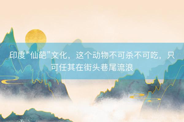 印度“仙葩”文化，这个动物不可杀不可吃，只可任其在街头巷尾流浪