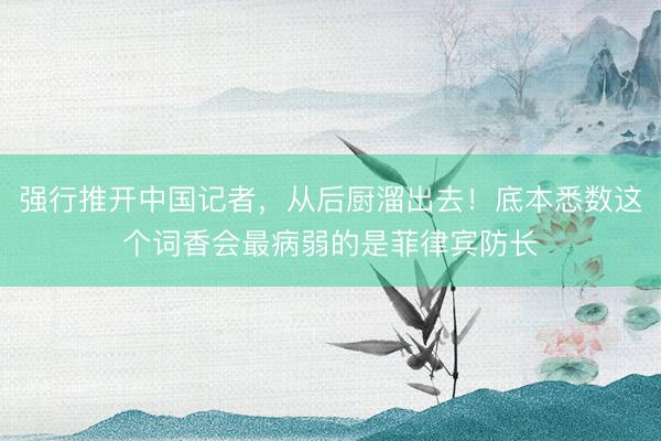 强行推开中国记者,从后厨溜出去!底本悉数这个词香会最病弱的是菲律宾防长