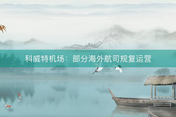 科威特机场：部分海外航司规复运营