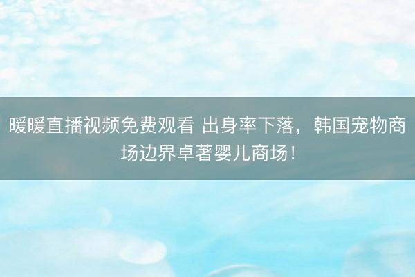 暖暖直播视频免费观看 出身率下落，韩国宠物商场边界卓著婴儿商场！