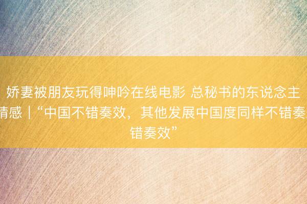 娇妻被朋友玩得呻吟在线电影 总秘书的东说念主民情感｜“中国不错奏效，其他发展中国度同样不错奏效”