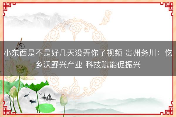 小东西是不是好几天没弄你了视频 贵州务川：仡乡沃野兴产业 科技赋能促振兴