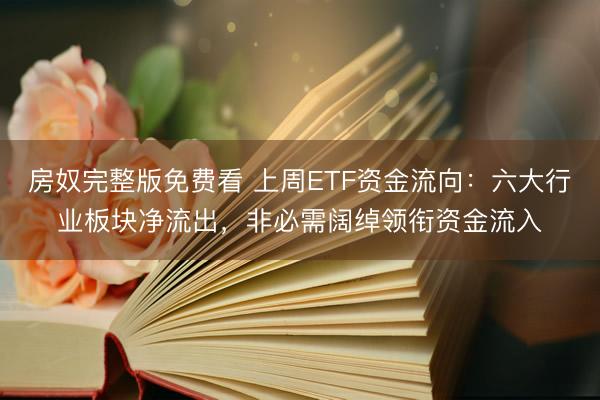 房奴完整版免费看 上周ETF资金流向：六大行业板块净流出，非必需阔绰领衔资金流入