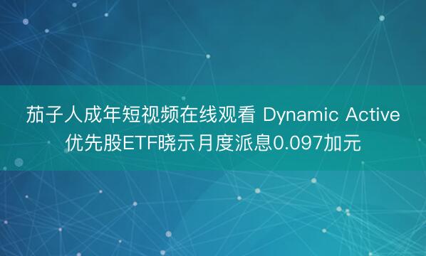 茄子人成年短视频在线观看 Dynamic Active优先股ETF晓示月度派息0.097加元