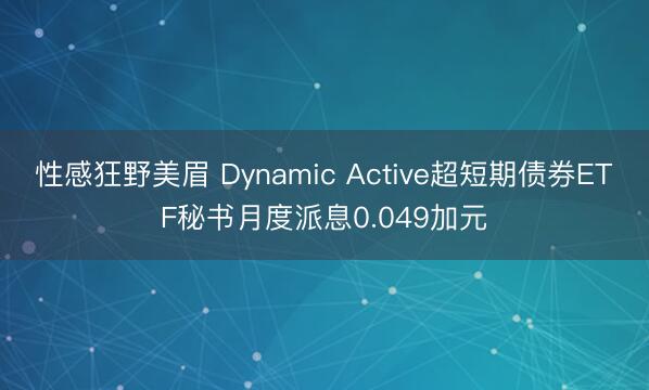 性感狂野美眉 Dynamic Active超短期债券ETF秘书月度派息0.049加元