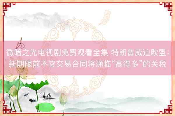 微暗之光电视剧免费观看全集 特朗普威迫欧盟：新期限前不签交易合同将濒临“高得多”的关税