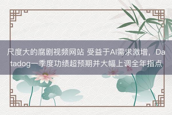 尺度大的腐剧视频网站 受益于AI需求激增，Datadog一季度功绩超预期并大幅上调全年指点