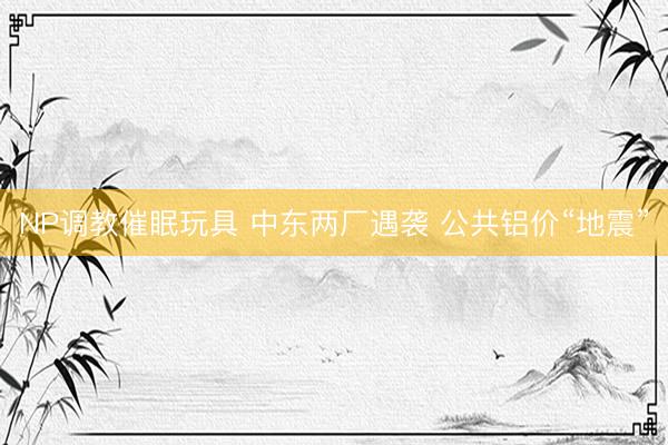NP调教催眠玩具 中东两厂遇袭 公共铝价“地震”