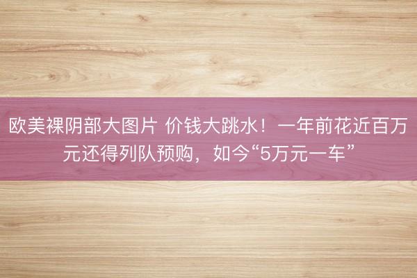 欧美裸阴部大图片 价钱大跳水！一年前花近百万元还得列队预购，如今“5万元一车”