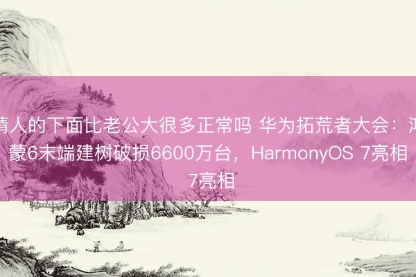 情人的下面比老公大很多正常吗 华为拓荒者大会：鸿蒙6末端建树破损6600万台，HarmonyOS 7亮相