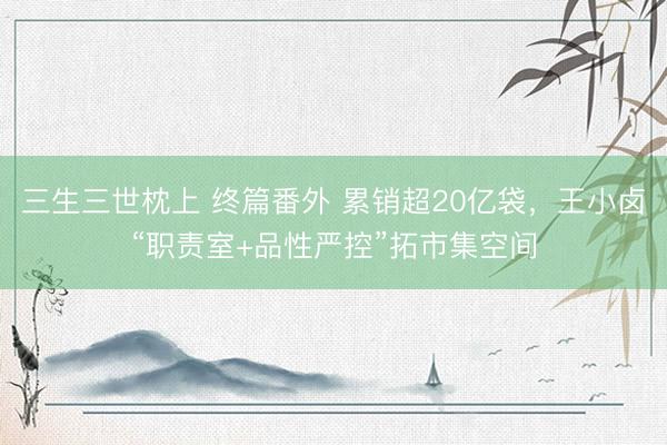 三生三世枕上 终篇番外 累销超20亿袋，王小卤“职责室+品性严控”拓市集空间