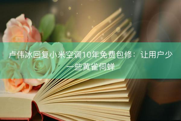 卢伟冰回复小米空调10年免费包修：让用户少一些黄雀伺蝉