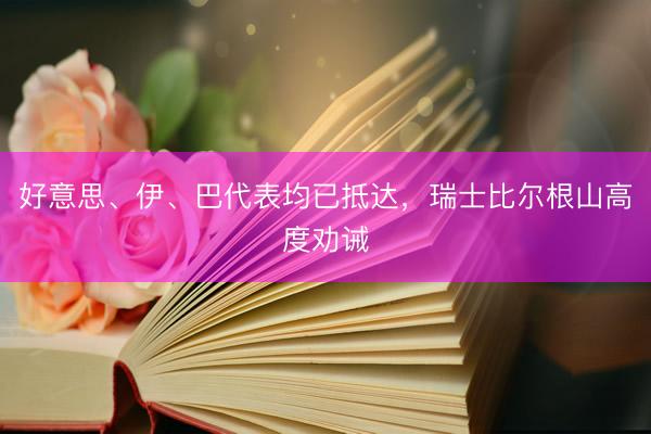 好意思、伊、巴代表均已抵达，瑞士比尔根山高度劝诫